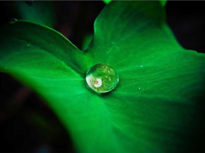 ByteMatrix Software Solution - Social Media Dashboard - Full Stack Development Project